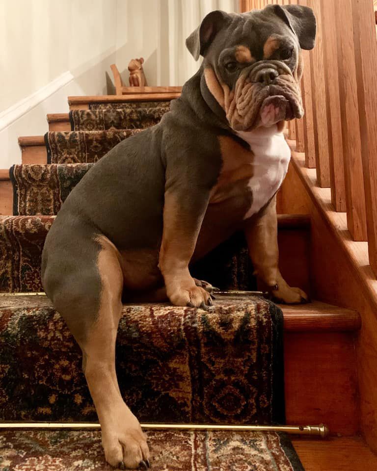 Vinny, submitted by Christine Huddleston Mock